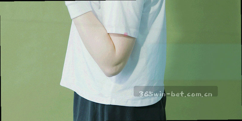 球队档案卡片与版本标签在数据面板上的排列特写